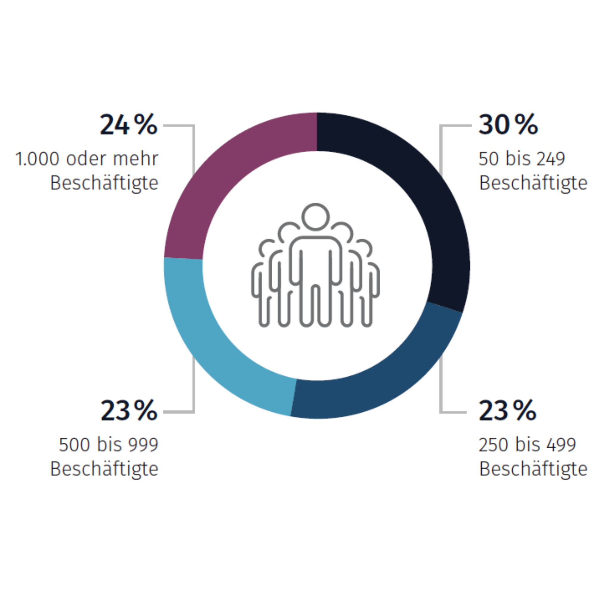 Größenklassenverteilung der Stichprobengröße